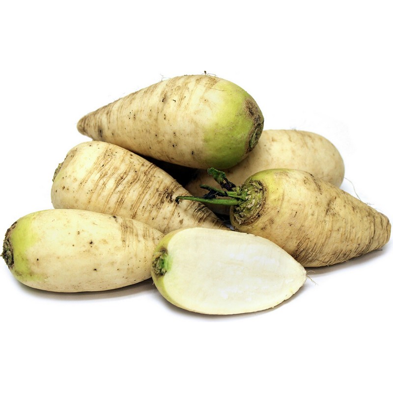 Graines de radis Munich bière