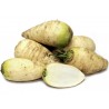 Price: €1.95 - Seme rotkvice Minhensko pivo - 