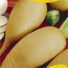 Price: €1.95 - Semi di ravanello Johns Day - 