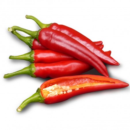 Price: €1.65 - Semillas de pimiento dulce Szegedi 80 -