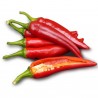Price: €1.65 - Semillas de pimiento dulce Szegedi 80 - 