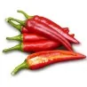 Szegedi 80 Sweet Pepper Seeds