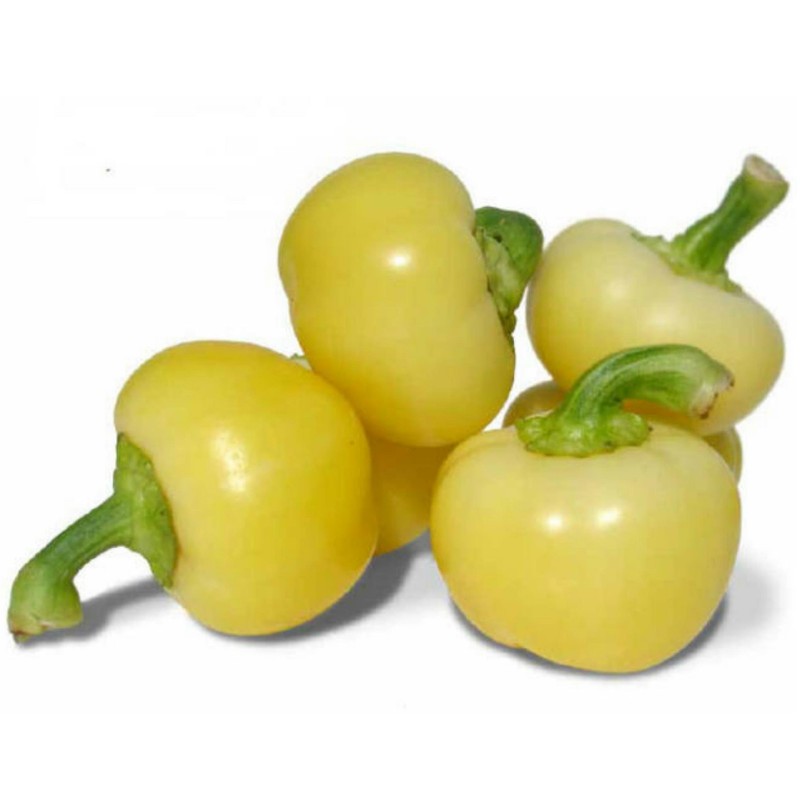 Price: €1.85 - Semillas de pimiento dulce húngaro Alma - 