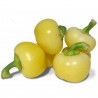 Price: €1.85 - Graines de poivron hongrois Alma - 