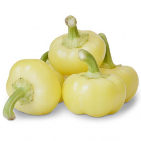 Price: €1.85 - Semillas de pimiento dulce húngaro Alma -