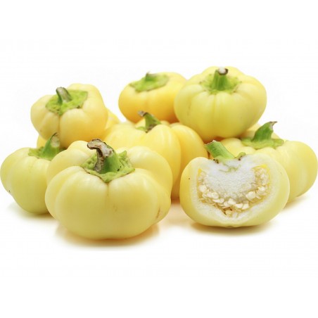 Price: €1.85 - Ungarische Scharfe Paprika Samen Apfel -
