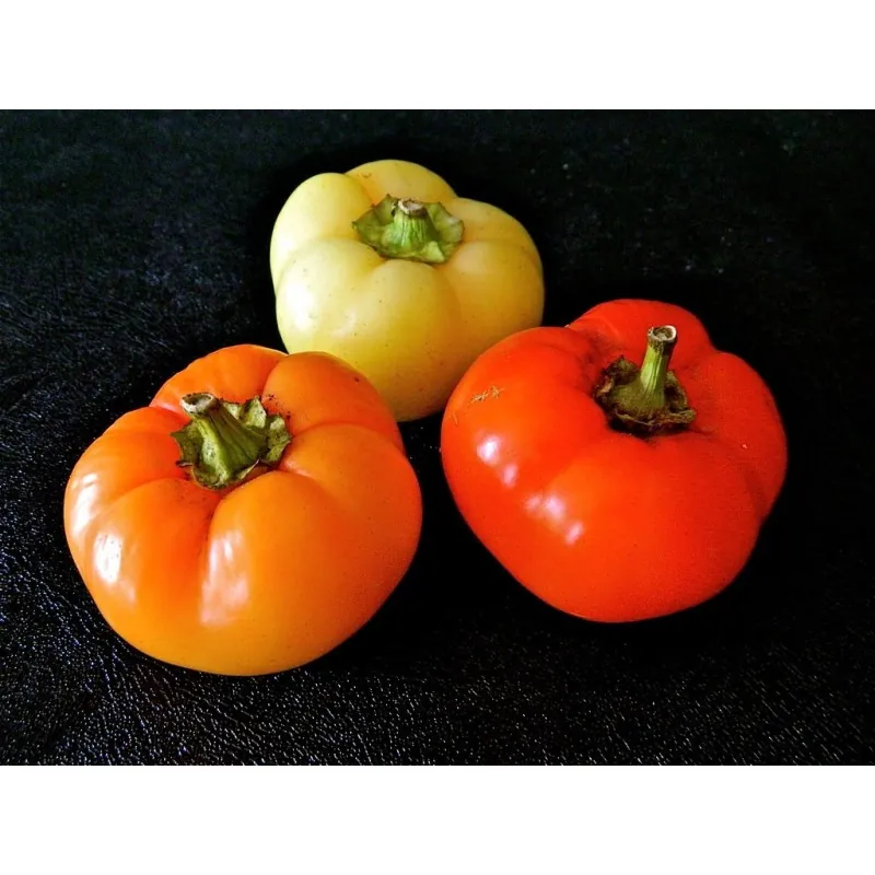 Hungarian Hot Pepper Seeds Apple (Roundel)