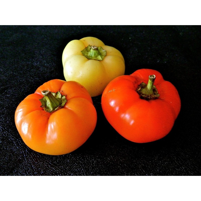 Price: €1.85 - Ungarische Scharfe Paprika Samen Apfel - 