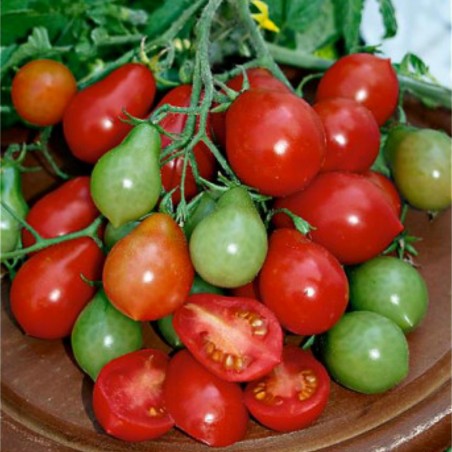 Price: €1.55 - Semillas De Tomate Radana -