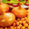 Price: €2.25 - Lökfrön Stuttgarter Reisen - 