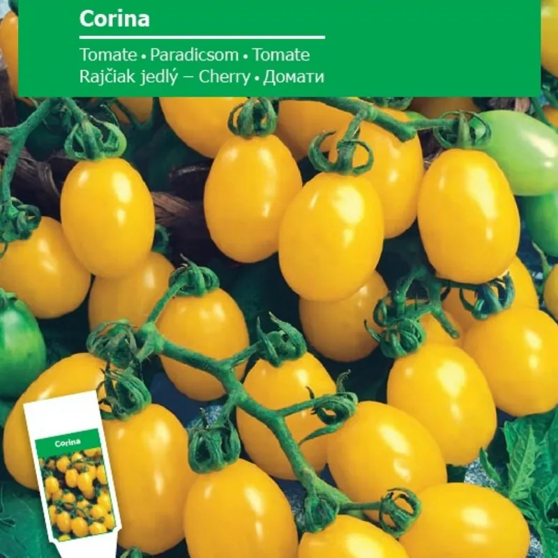 Corina tomatenzaad