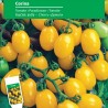 Price: €1.55 - Corina tomato seeds - 