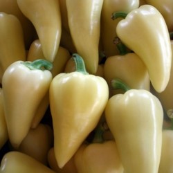 Price: €1.85 - Σπόροι πιπεριού Javitott Bogyiszloi (Hot) - 