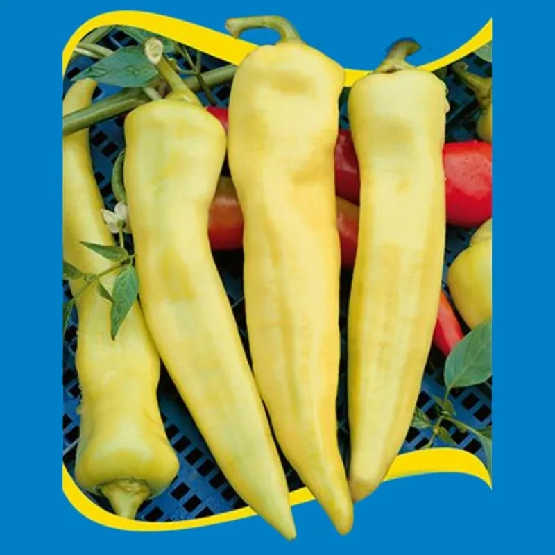 Semillas de pimiento dulce Feher Kos