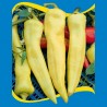 Price: €2.15 - Graines de poivron doux Feher Kos - 