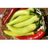 Price: €2.15 - Graines de poivron doux Feher Kos - 
