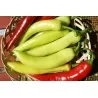 Sementes de pimenta doce Feher Kos