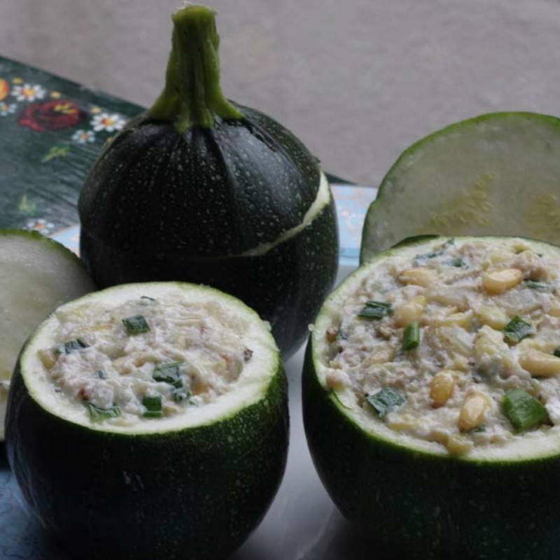 Price: €2.15 - Zucchini Seeds Tondo di Piacenza - 