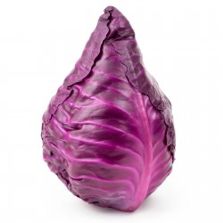 Price: €1.75 - Semillas de col roja Kalibos - 