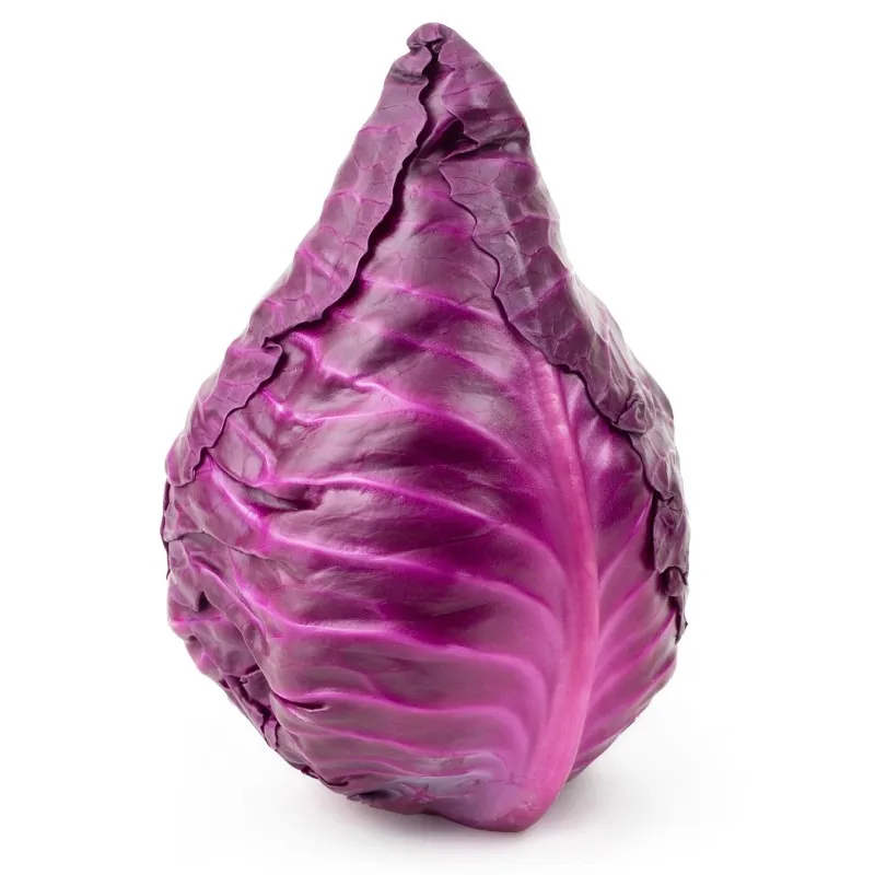 Rödkålfrön Kalibos
