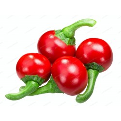 Price: €1.55 - Σπόροι ουγγρική τσίλι Kalocsa - 
