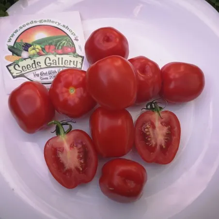 Graines de tomate Pomme