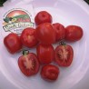 Price: €1.55 - Apfel Tomatensamen - Seeds Gallery