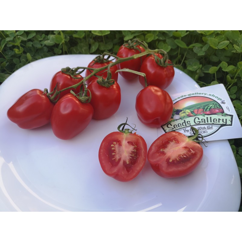 Price: €1.55 - Apfel Tomatensamen - Seeds Gallery