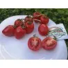 Apple Tomato Seeds