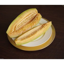 Semillas de banano melón Cantaloupe