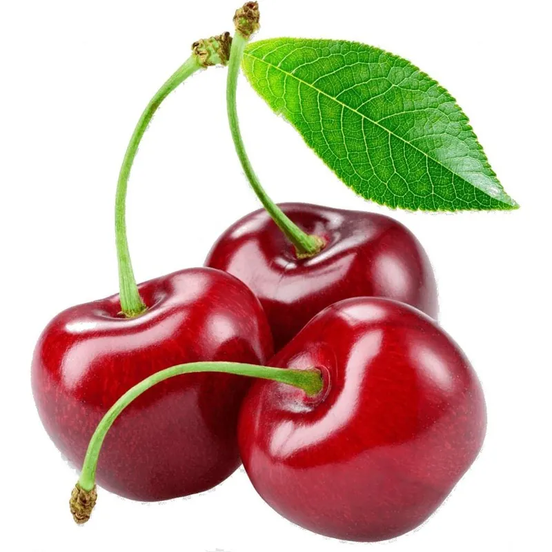Riesen Herz-Kirsche Samen (Prunus avium)