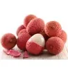 Semi di Litchi - Ciliegia della Cina (Litchi chinensis)