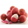 Σπόροι Λυκείο (Litchi chinensis) | 3,50 €