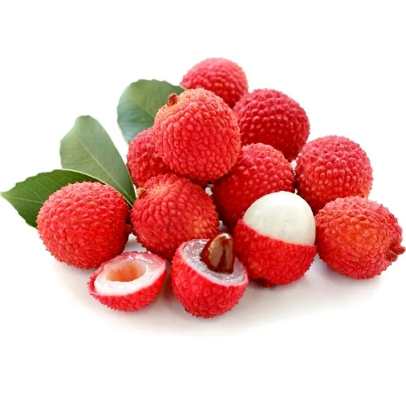 Lychee - Litchi zaden (Litchi chinensis)