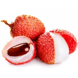 Price: €3.5 - Semi di Litchi - Ciliegia della Cina (Litchi chinensis) -