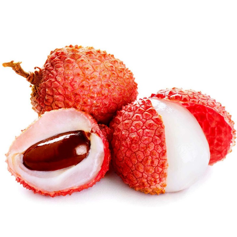 20Pcs Litchi Seed Liquique Lychee Bonsai ing Rare Fruit Tree Ornamental Plant Home Decor Non-GMO Open Pollinated Seeds for Planting Litchi Seeds XKSIKjians Garden 