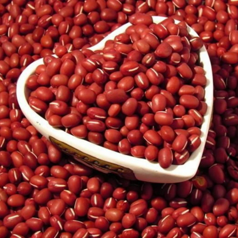 Price: €1.75 - Azukiböna Frö (Vigna angularis) - 