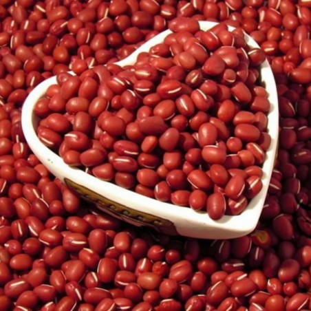 Price: €1.75 - Azukiböna Frö (Vigna angularis) - 