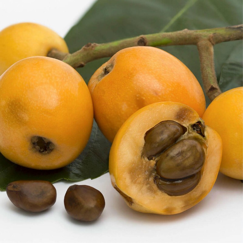 Μουσμουλιά ή μεσκουλιά σπόρους | 4,50 €