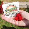 Price: €1.95 - Balloon Berry, Strawberry Raspberry Seeds - Seeds Gallery