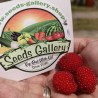 Price: €1.95 - Balloon Berry, Strawberry Raspberry Seeds - Seeds Gallery