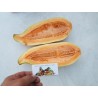Price: €2.15 - Semi di Melone Banana, Melone Gondola - Seeds Gallery