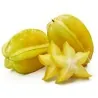 Carambola, Star Fruit Seeds (Averrhoa carambola)