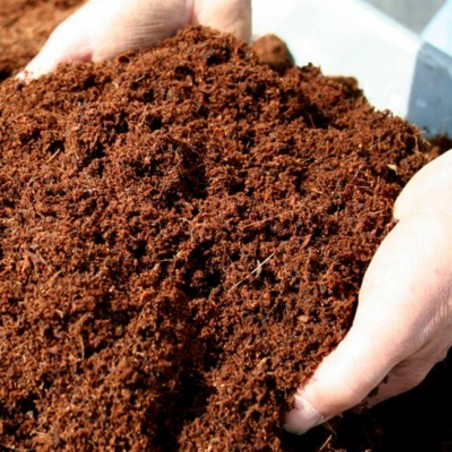 100% Bio-Kokosnuss, Kokosnusstorf, höchste Qualität 0,5 Liter
