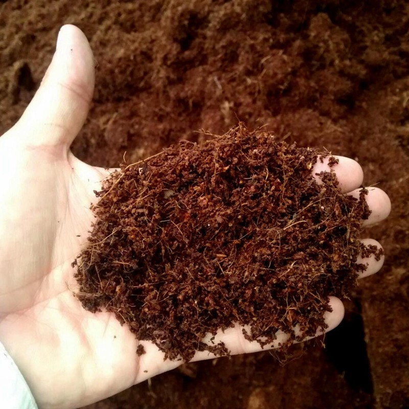 100% Bio-Kokosnuss, Kokosnusstorf, höchste Qualität 0,5 Liter