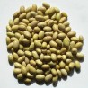 Price: €1.75 - Canario, Mayocoba, Peruano, Peruvian Bean seeds - Seeds Gallery