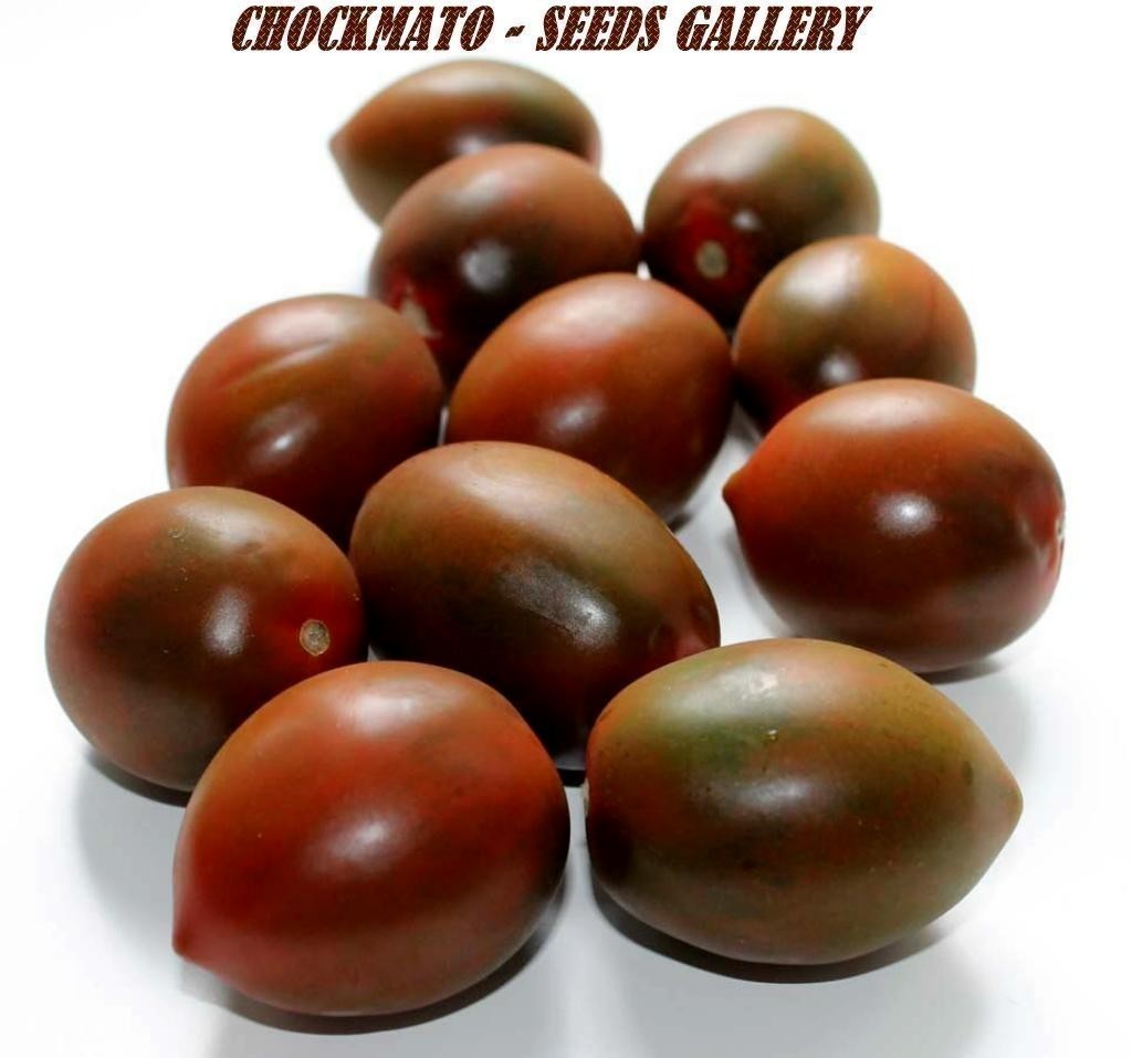 Chockmato Tomato Seeds | €1.75 🌳🌼🌸🌿🌱🍉